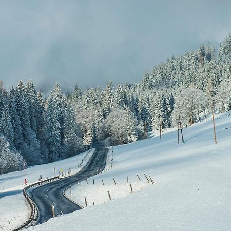 Willa Ferienbauernhof Elmaugut Mühlbach am Hochkönig Zewnętrze zdjęcie