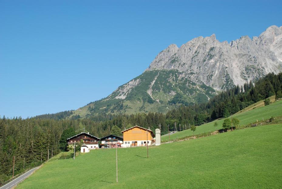 Willa Ferienbauernhof Elmaugut Mühlbach am Hochkönig Zewnętrze zdjęcie