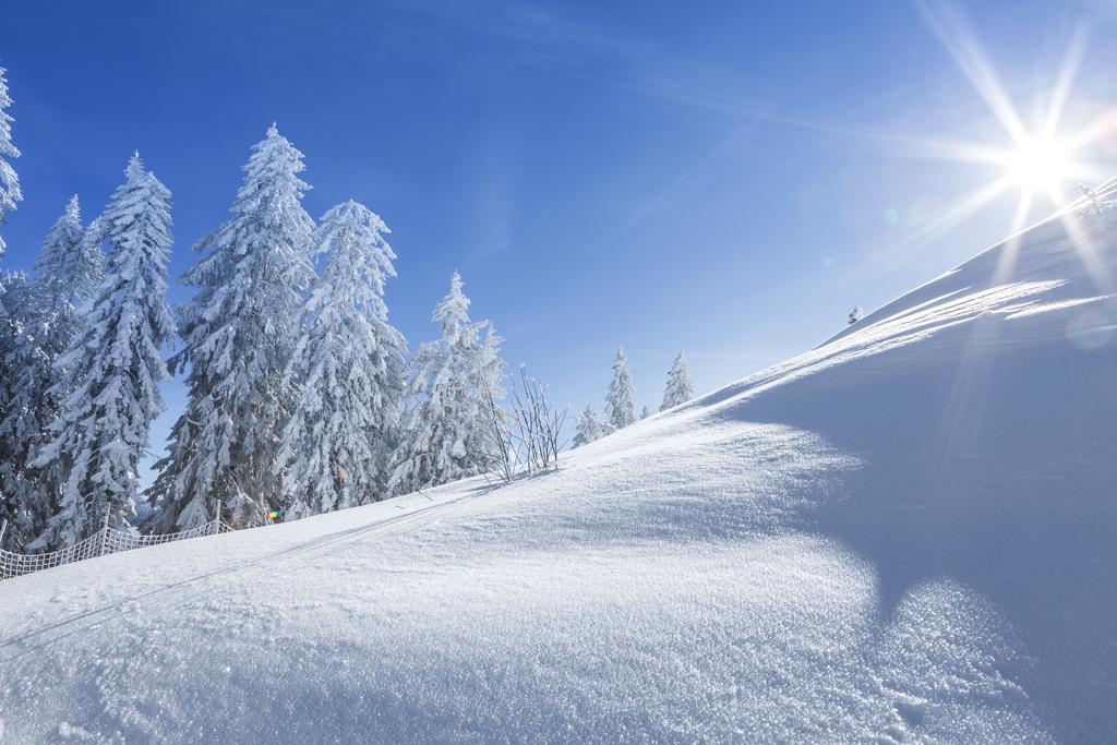 Willa Ferienbauernhof Elmaugut Mühlbach am Hochkönig Zewnętrze zdjęcie